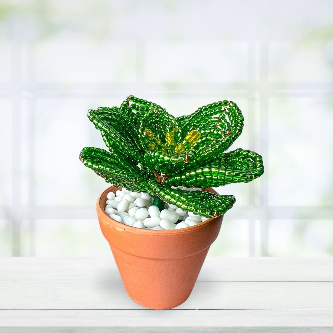bead succulent Artificial Echeveria Beaded Succulent Plant in a Ceramic Terracotta Po – Afribix