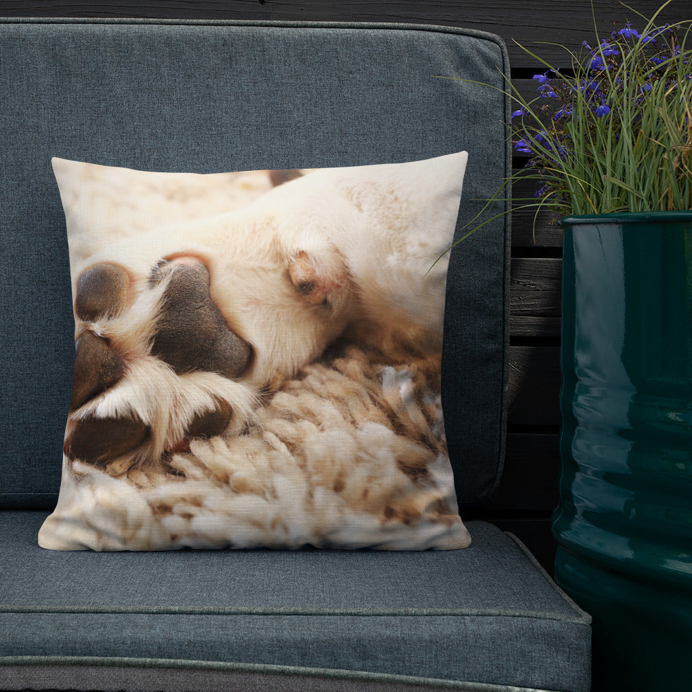 Pets Personalised Premium Throw Pillow - Dogs Paw