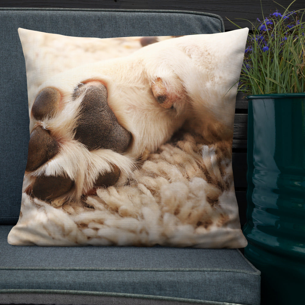 Pets Personalised Premium Throw Pillow - Dogs Paw